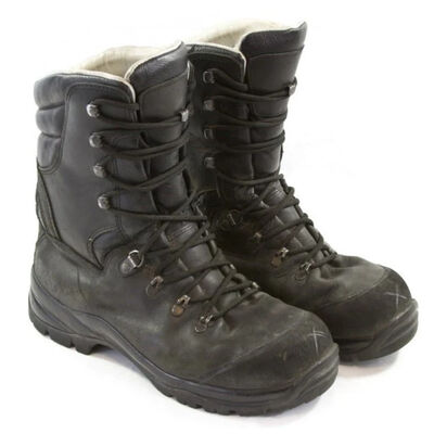 Austrian Alpine Snow Boot